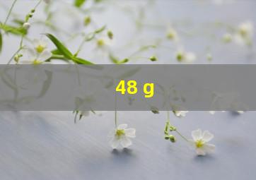 48 g